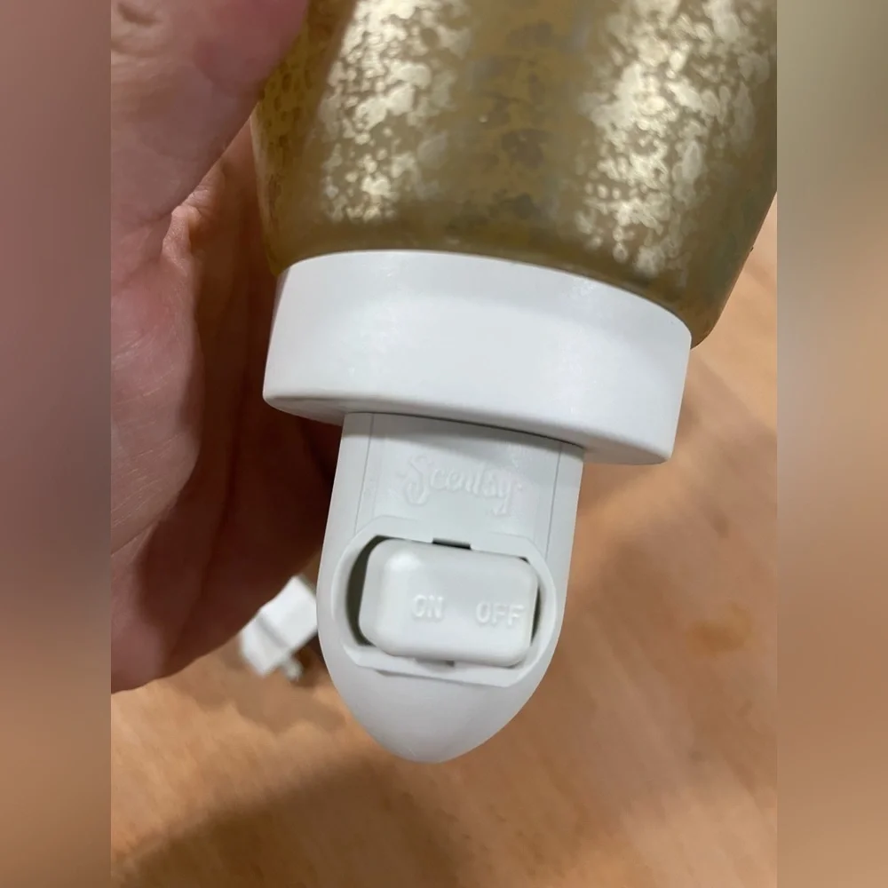 EUC Bundle of 2 Scentsy brand plug ins